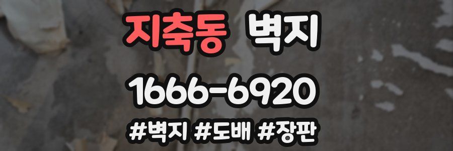 지축동 벽지