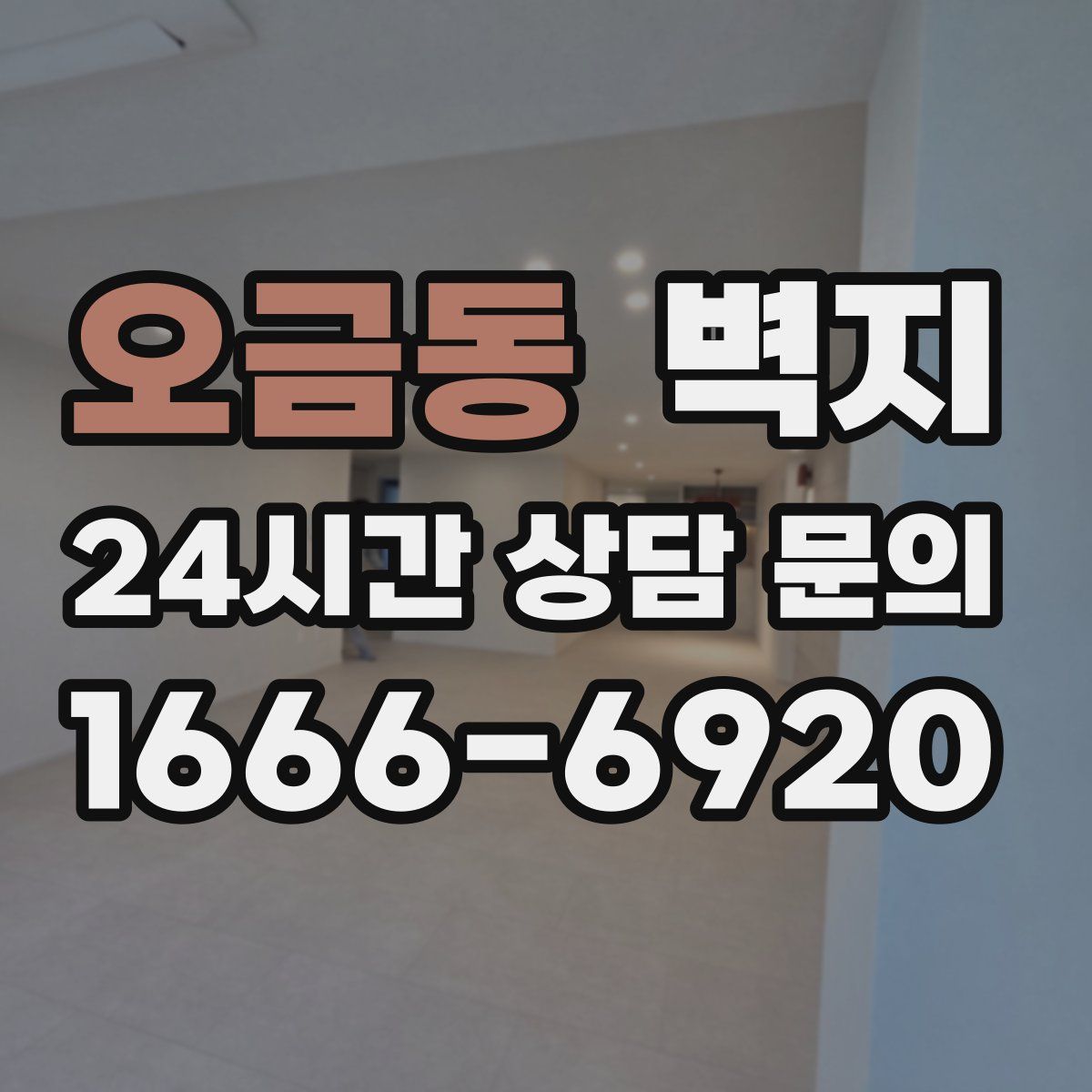 오금동 벽지