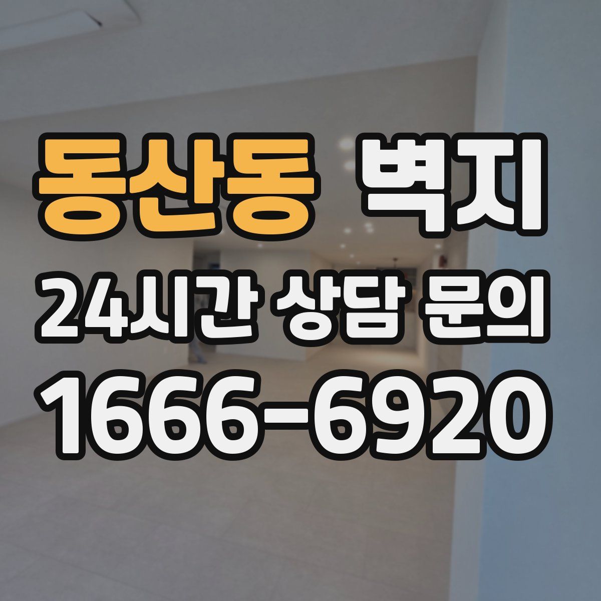 동산동 벽지