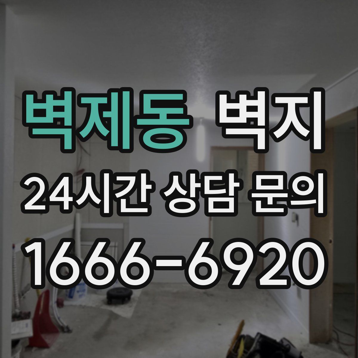 벽제동 벽지