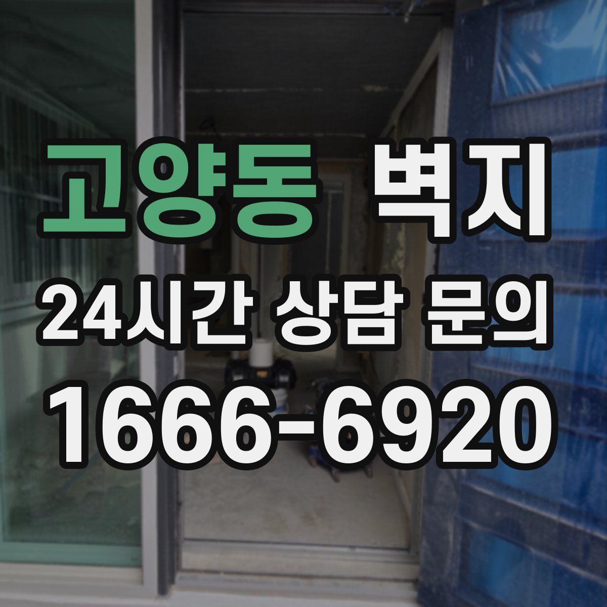 고양동 벽지