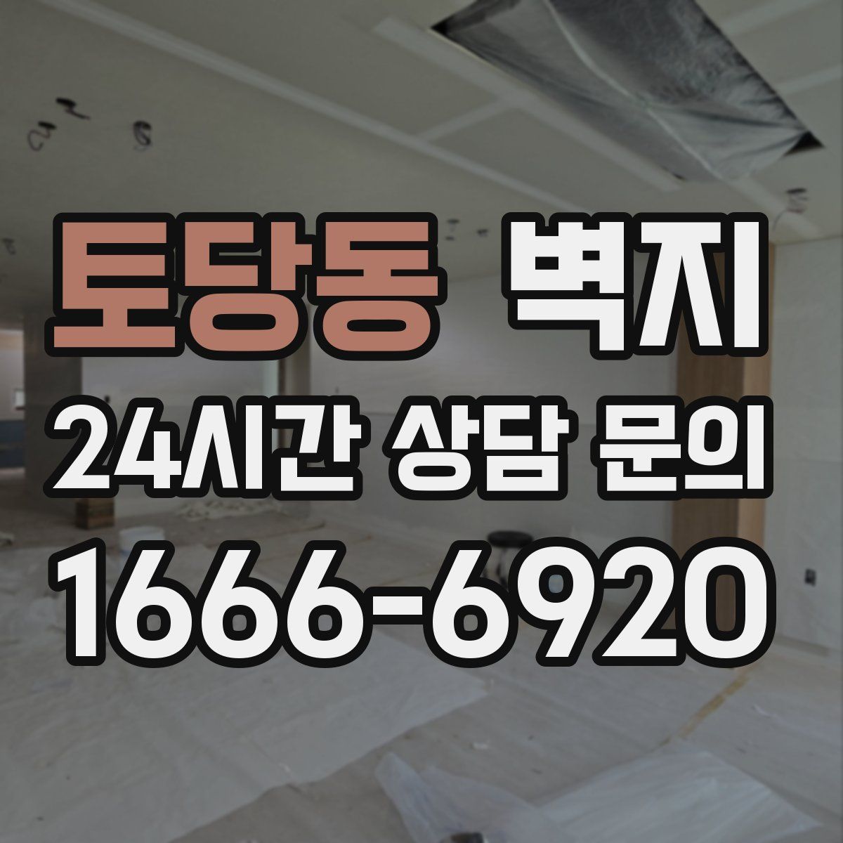 토당동 벽지