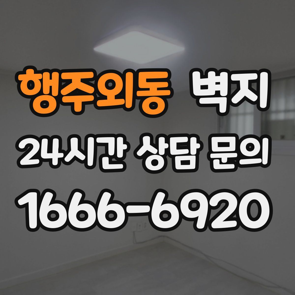 행주외동 벽지