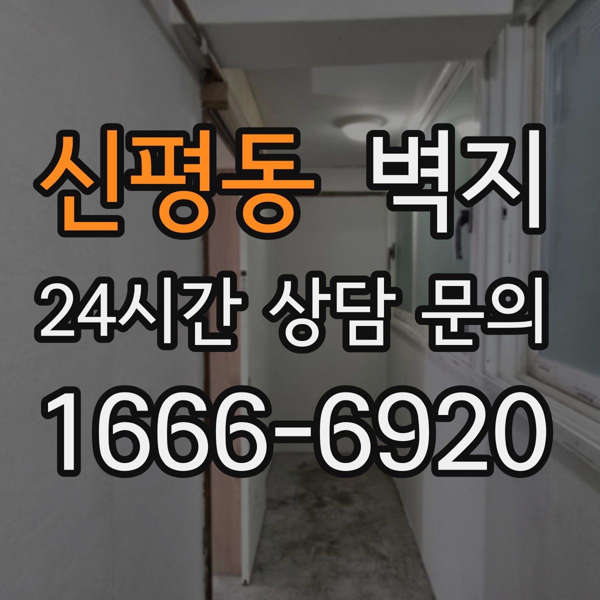 신평동 벽지