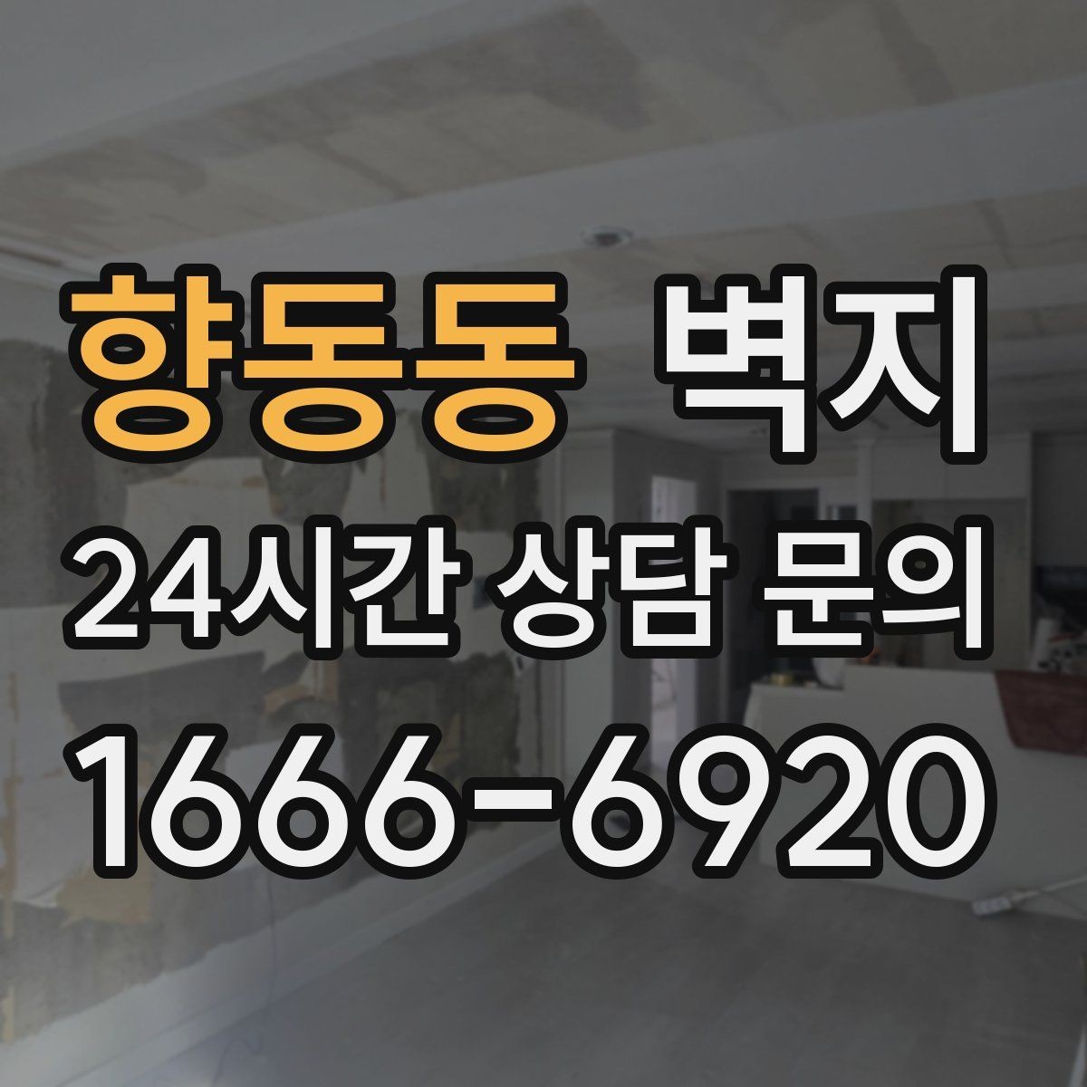 향동동 벽지 스타일별로 달라지는 공간 연출