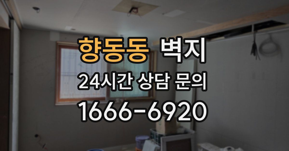 향동동 벽지