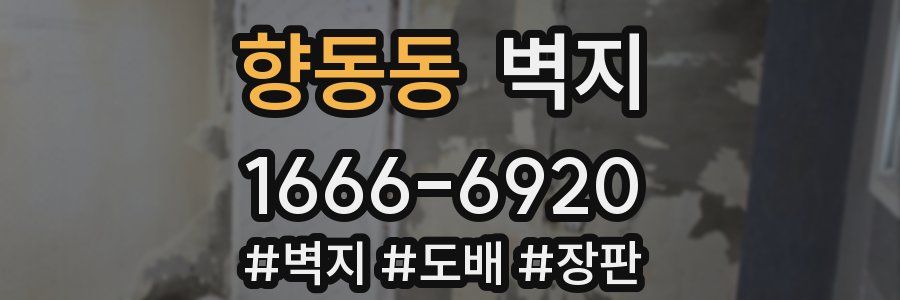 향동동 벽지