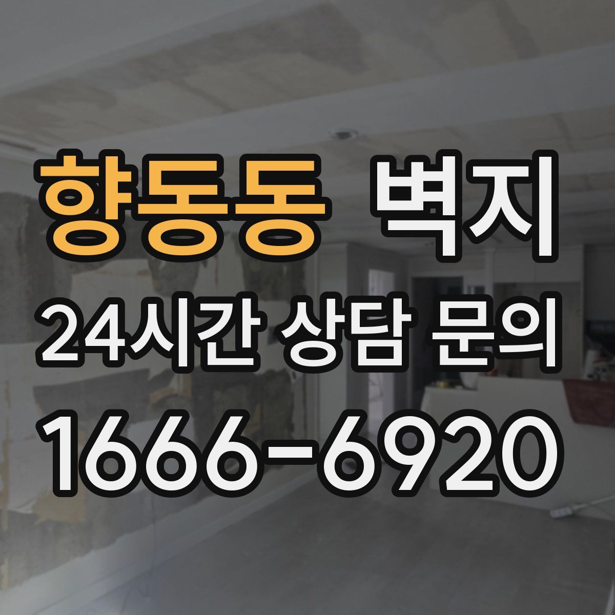 향동동 벽지