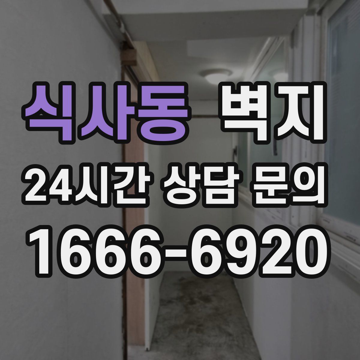 식사동 벽지