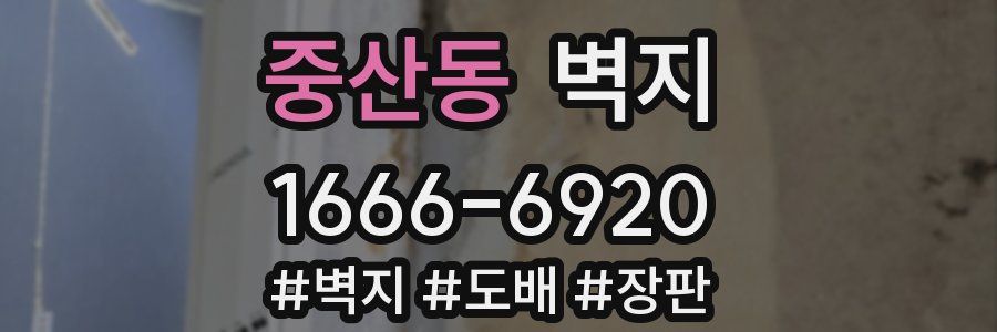 중산동 벽지