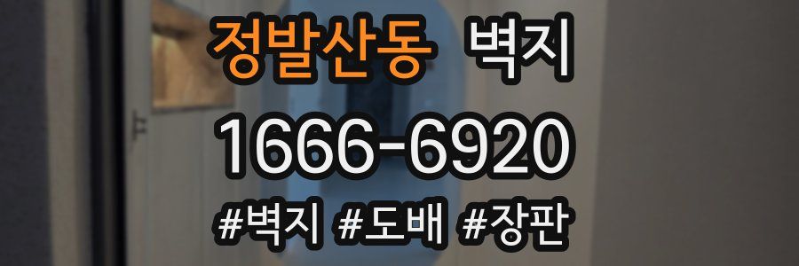 정발산동 벽지