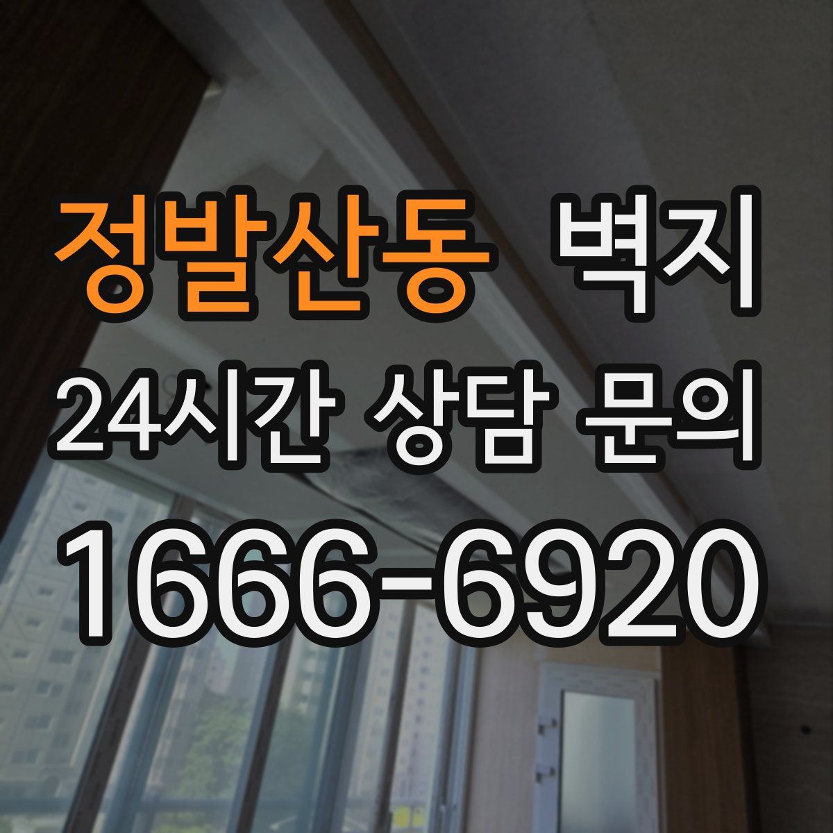 정발산동 벽지