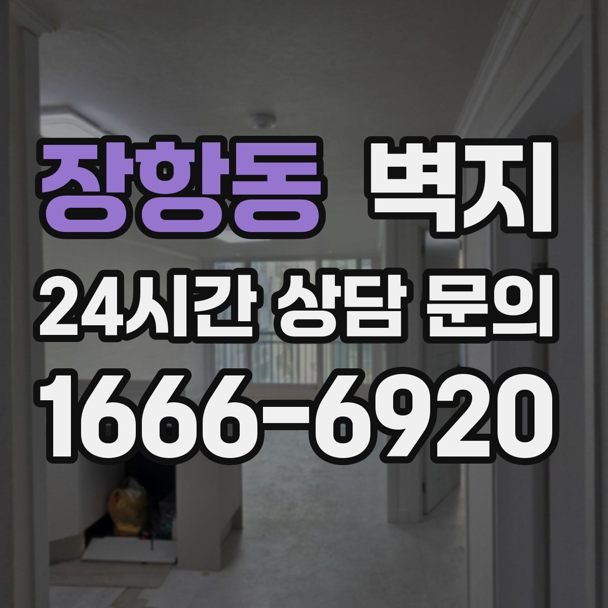 장항동 벽지