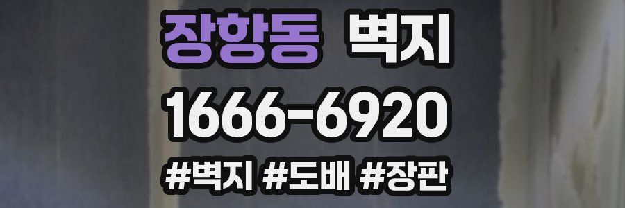 장항동 벽지