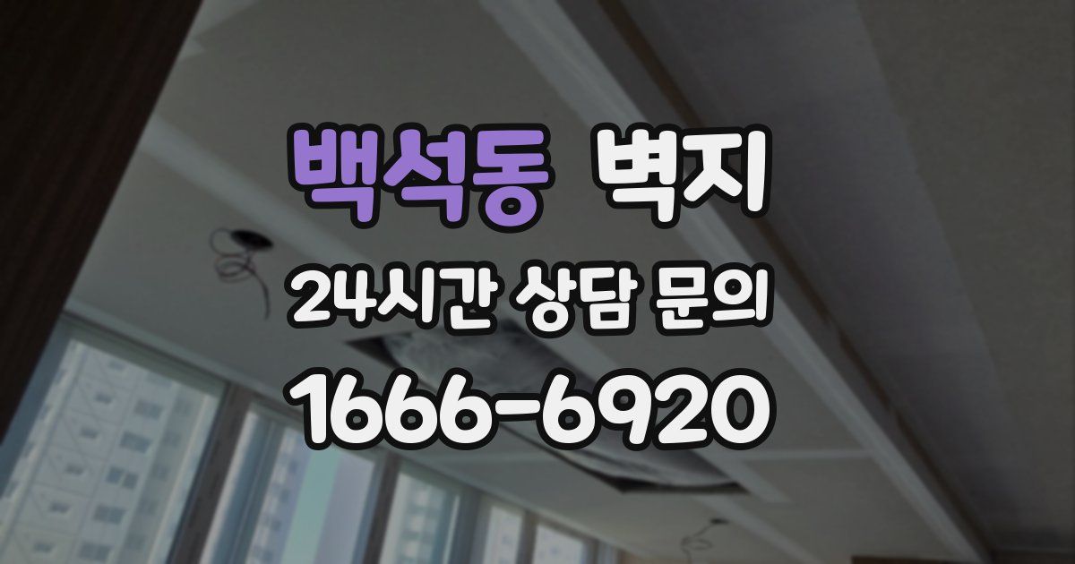 백석동 벽지