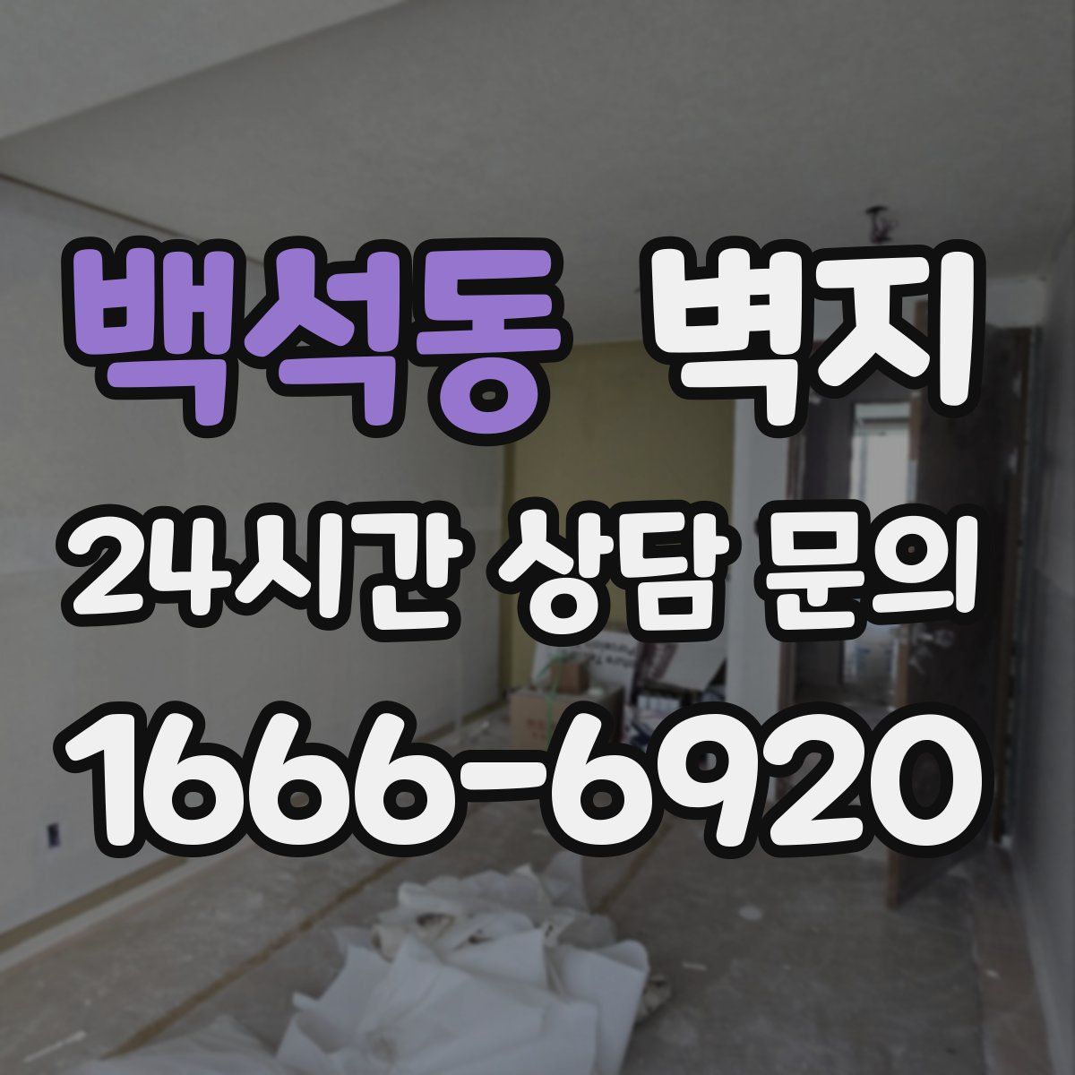 백석동 벽지