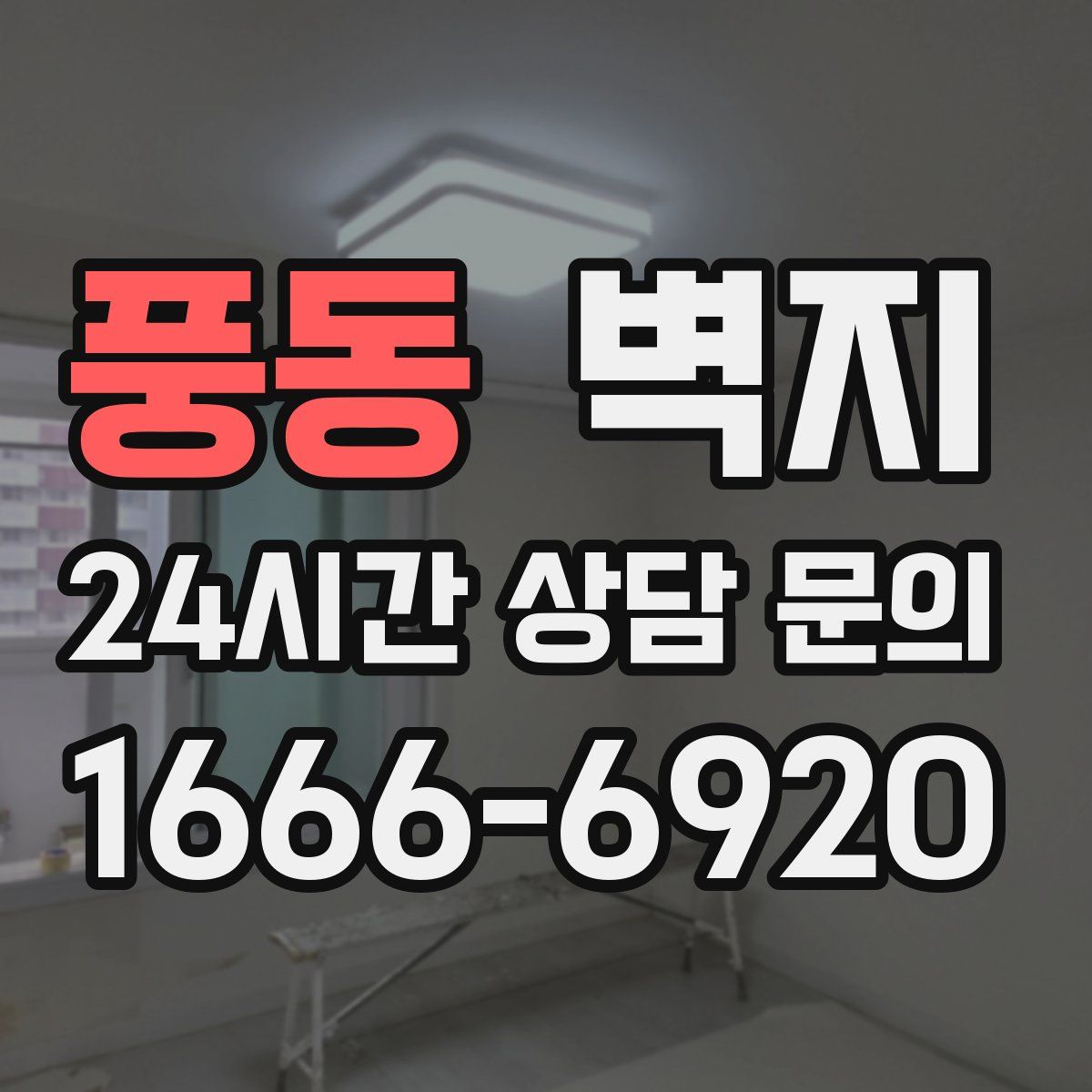 풍동 벽지