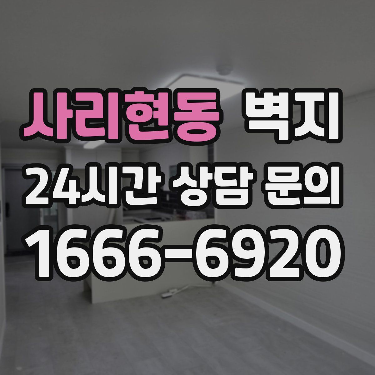 사리현동 벽지