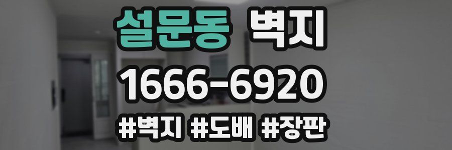 설문동 벽지