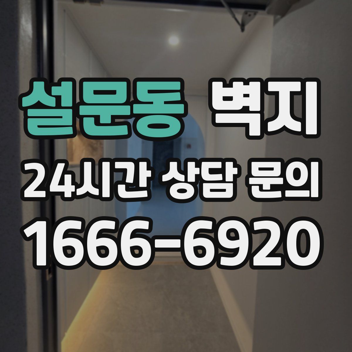 설문동 벽지