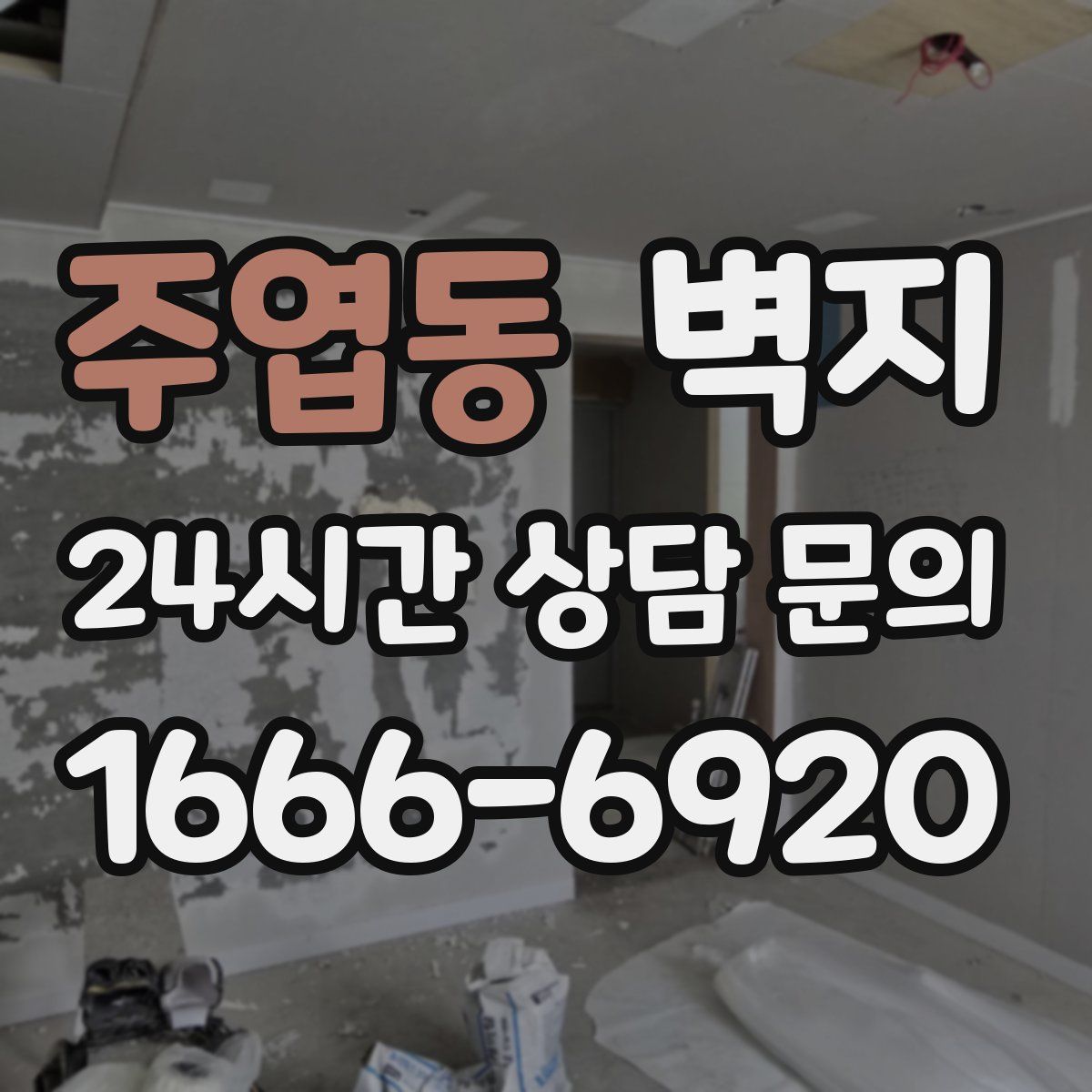 주엽동 벽지