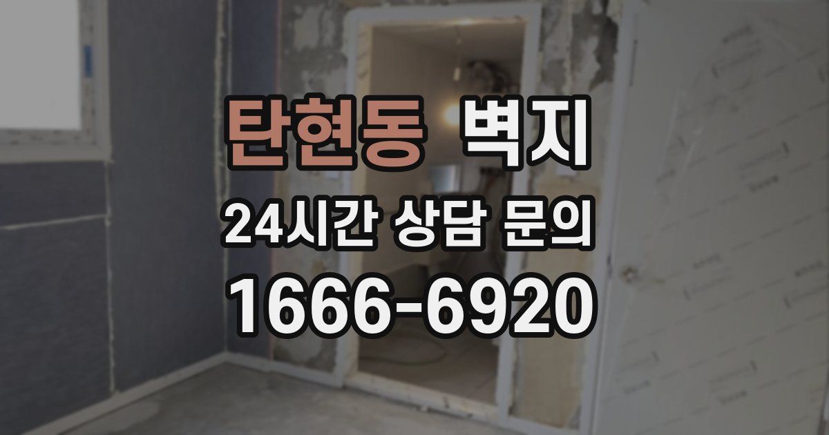 탄현동 벽지