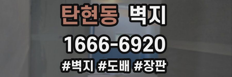 탄현동 벽지