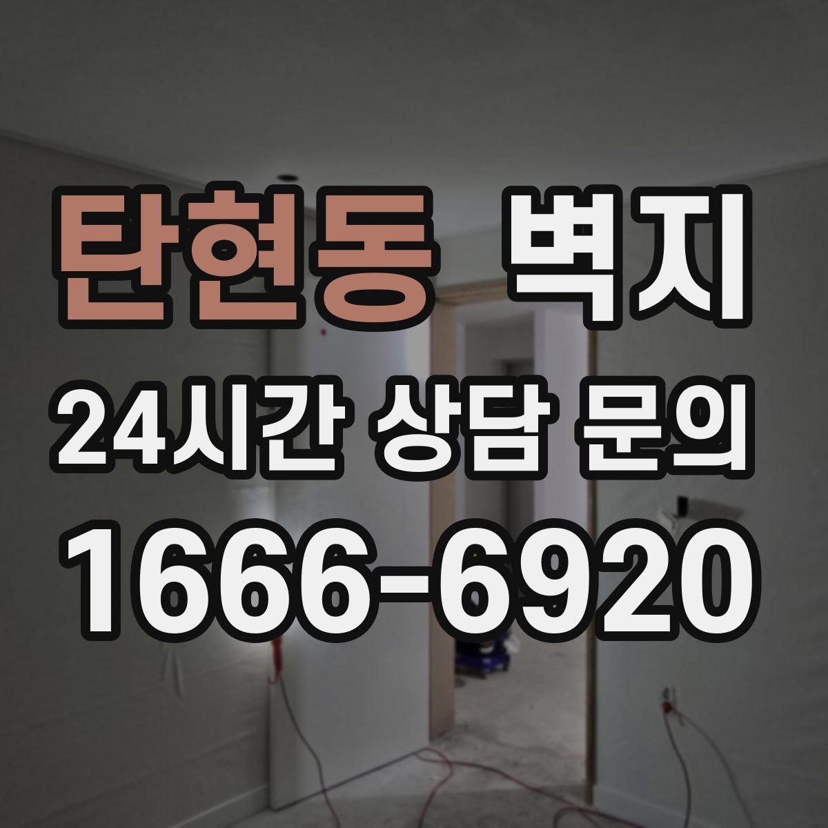 탄현동 벽지