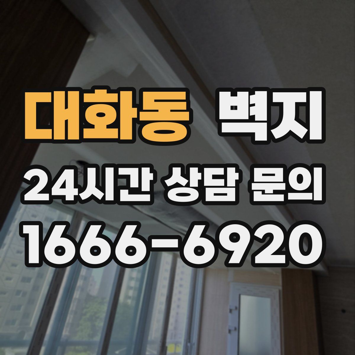 대화동 벽지