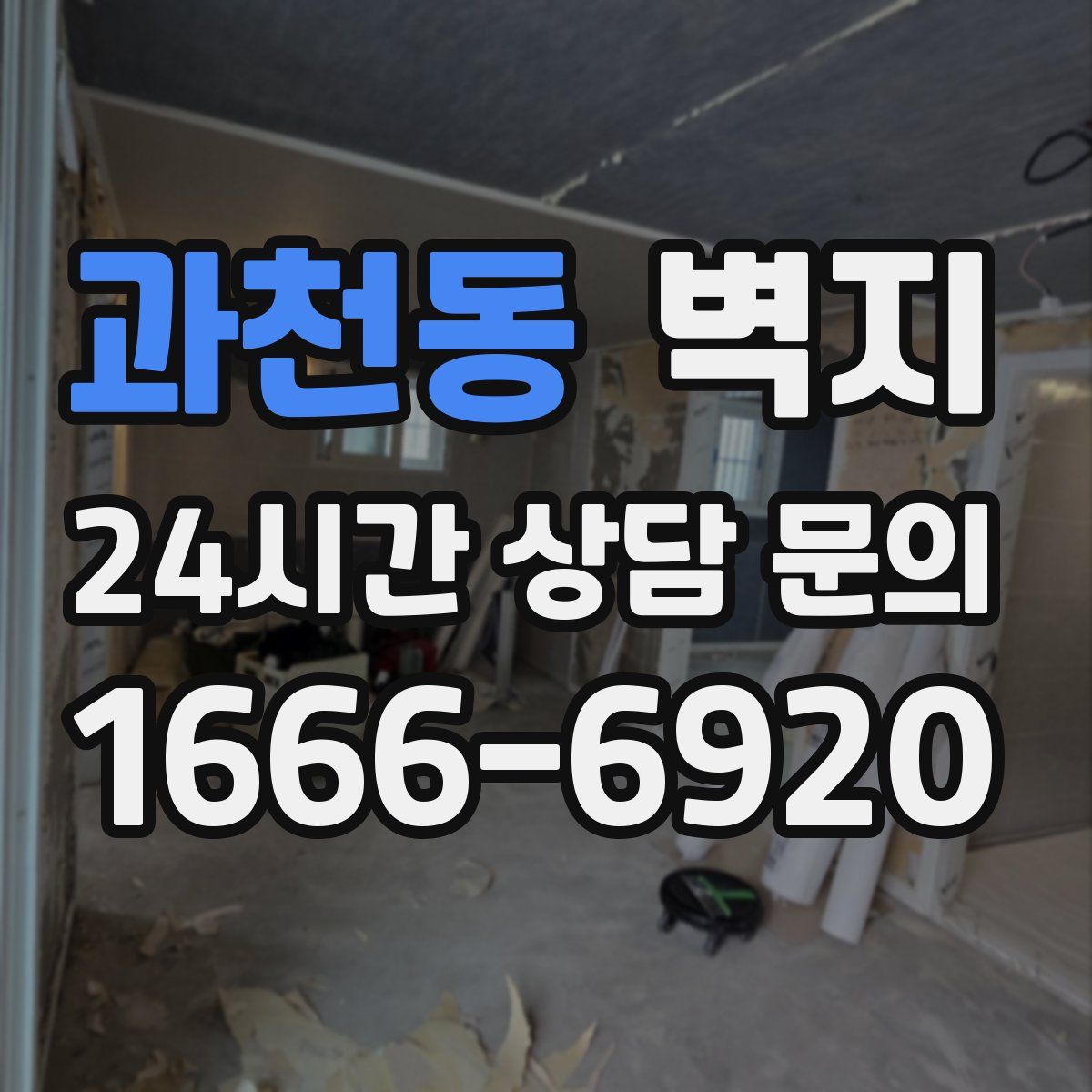 과천동 벽지
