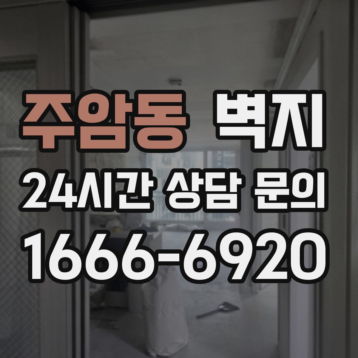 주암동 벽지