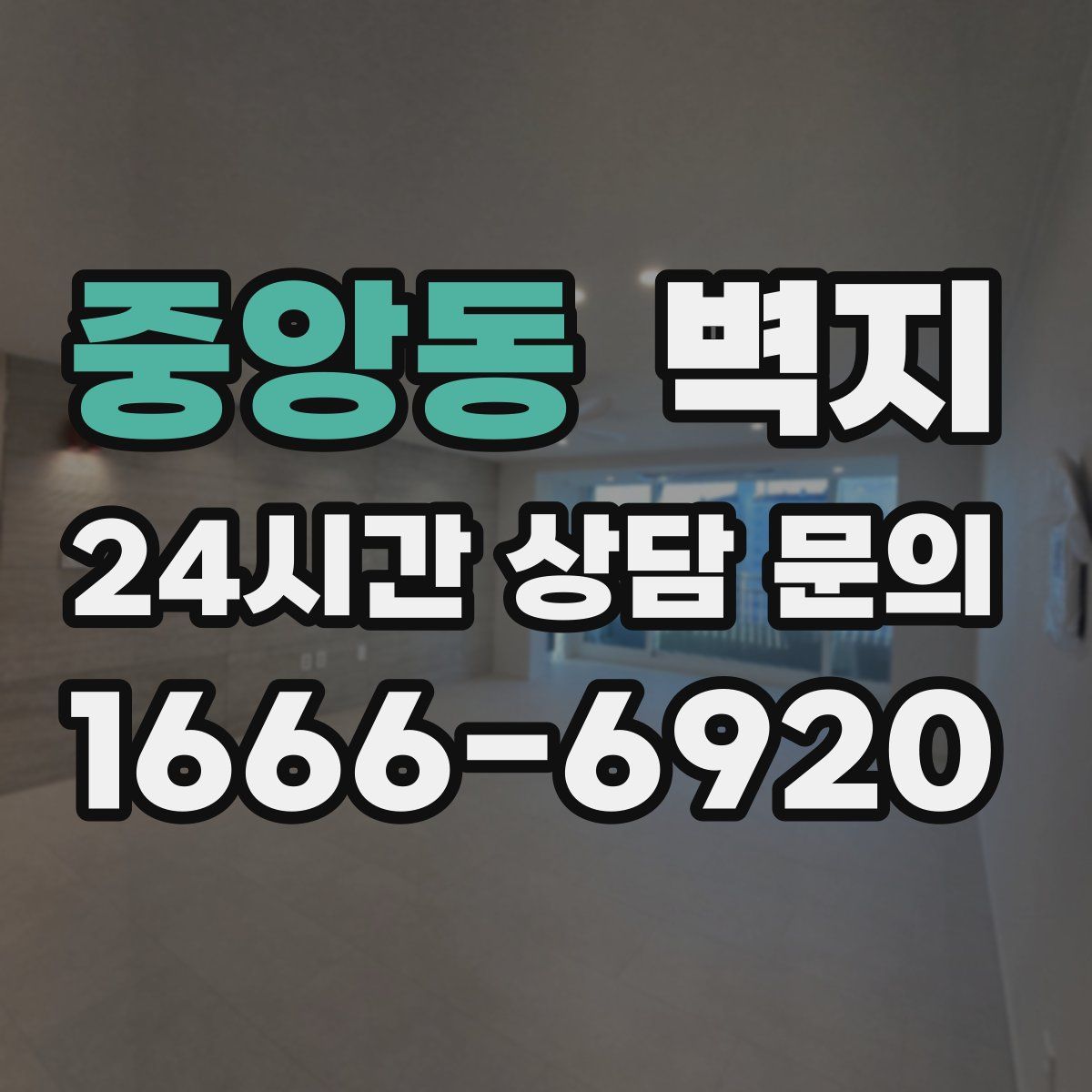 중앙동 벽지