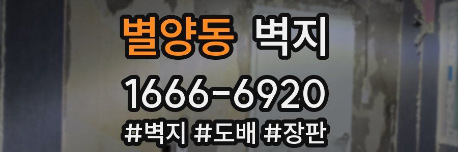 별양동 벽지