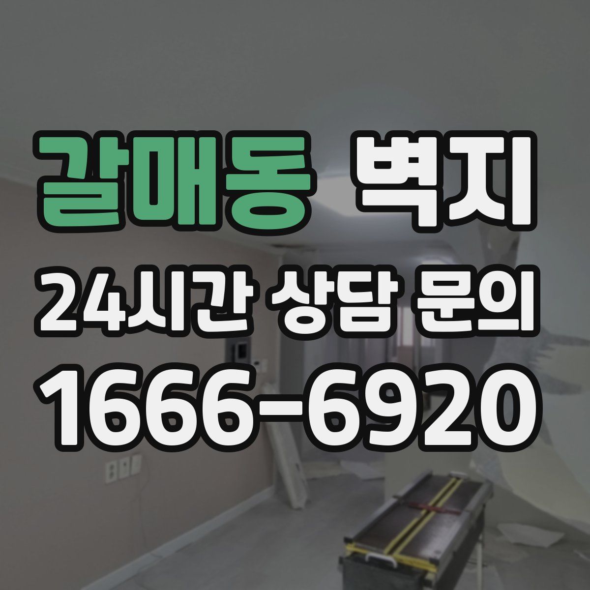 갈매동 벽지