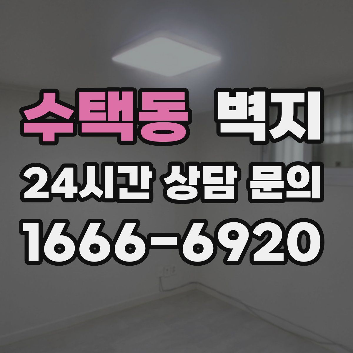 수택동 벽지