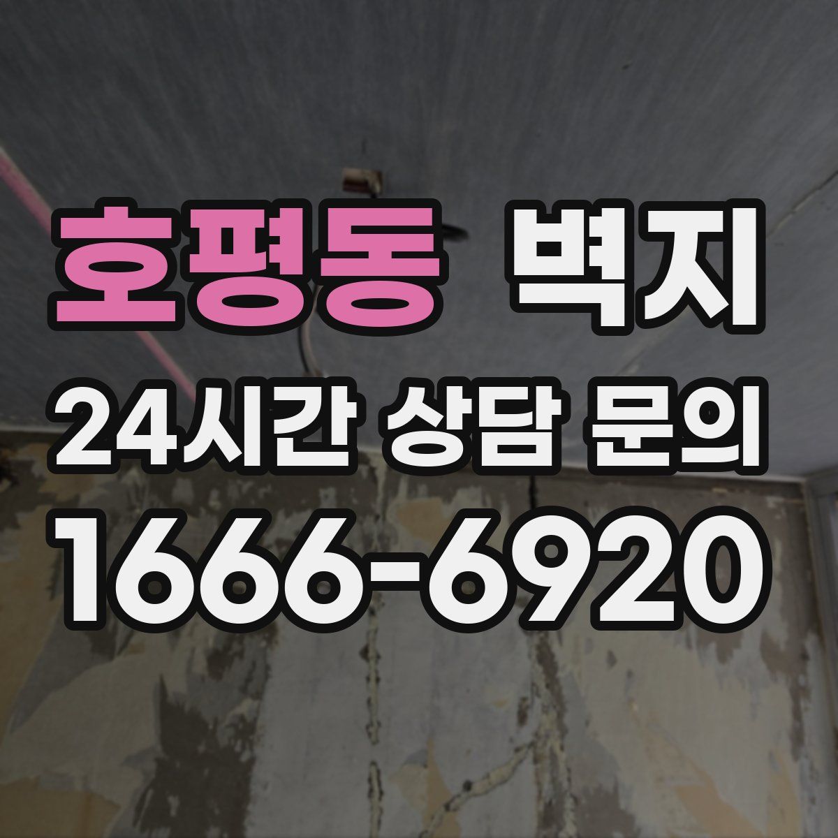 호평동 벽지