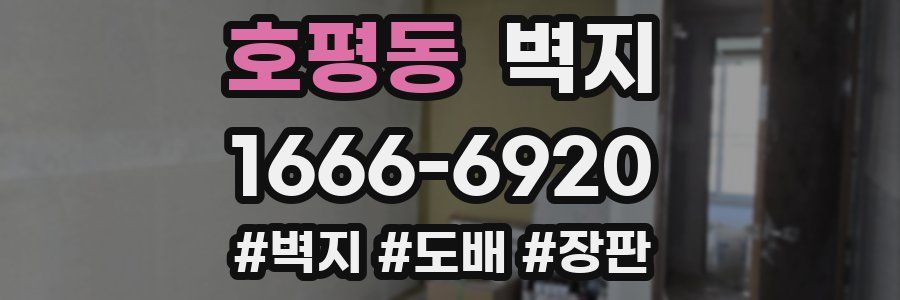 호평동 벽지