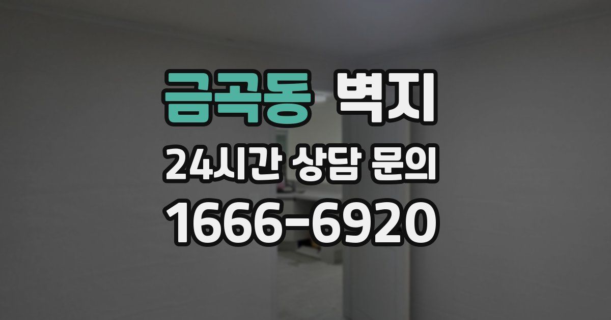 금곡동 벽지