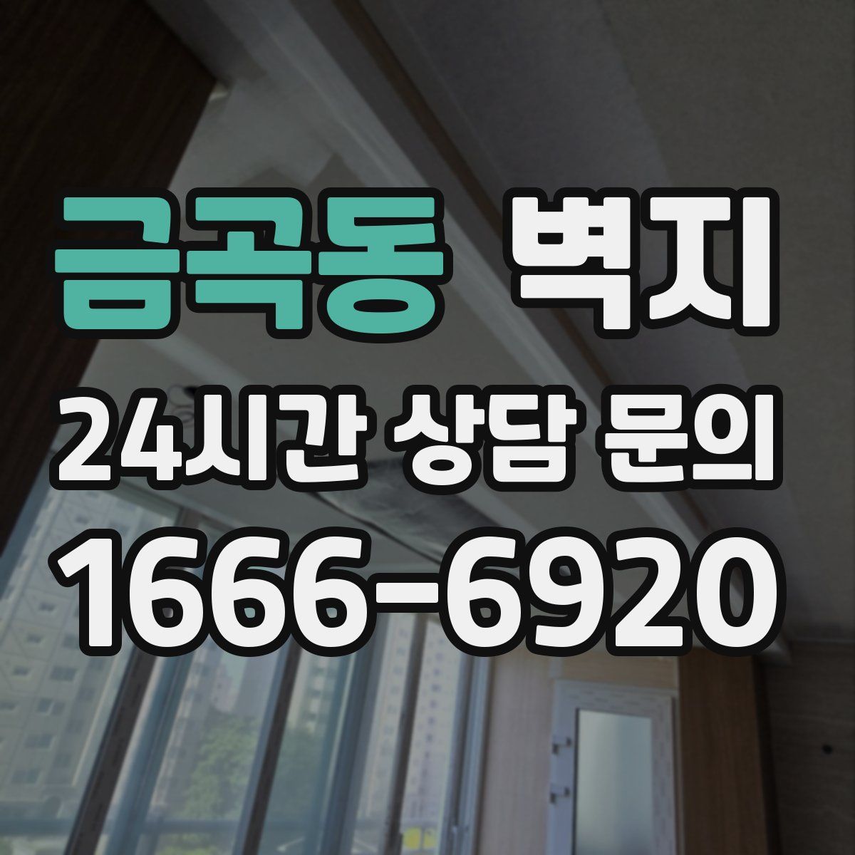 금곡동 벽지