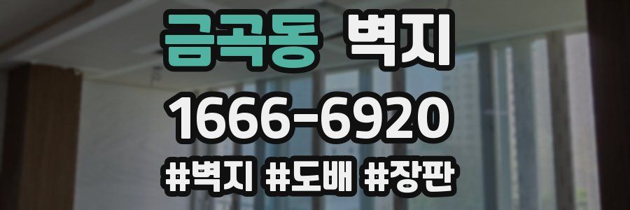 금곡동 벽지