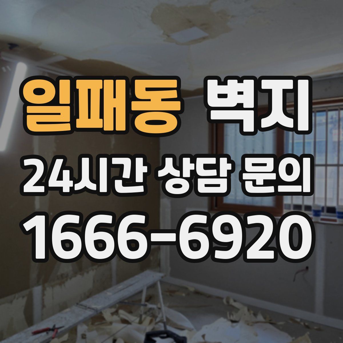 일패동 벽지
