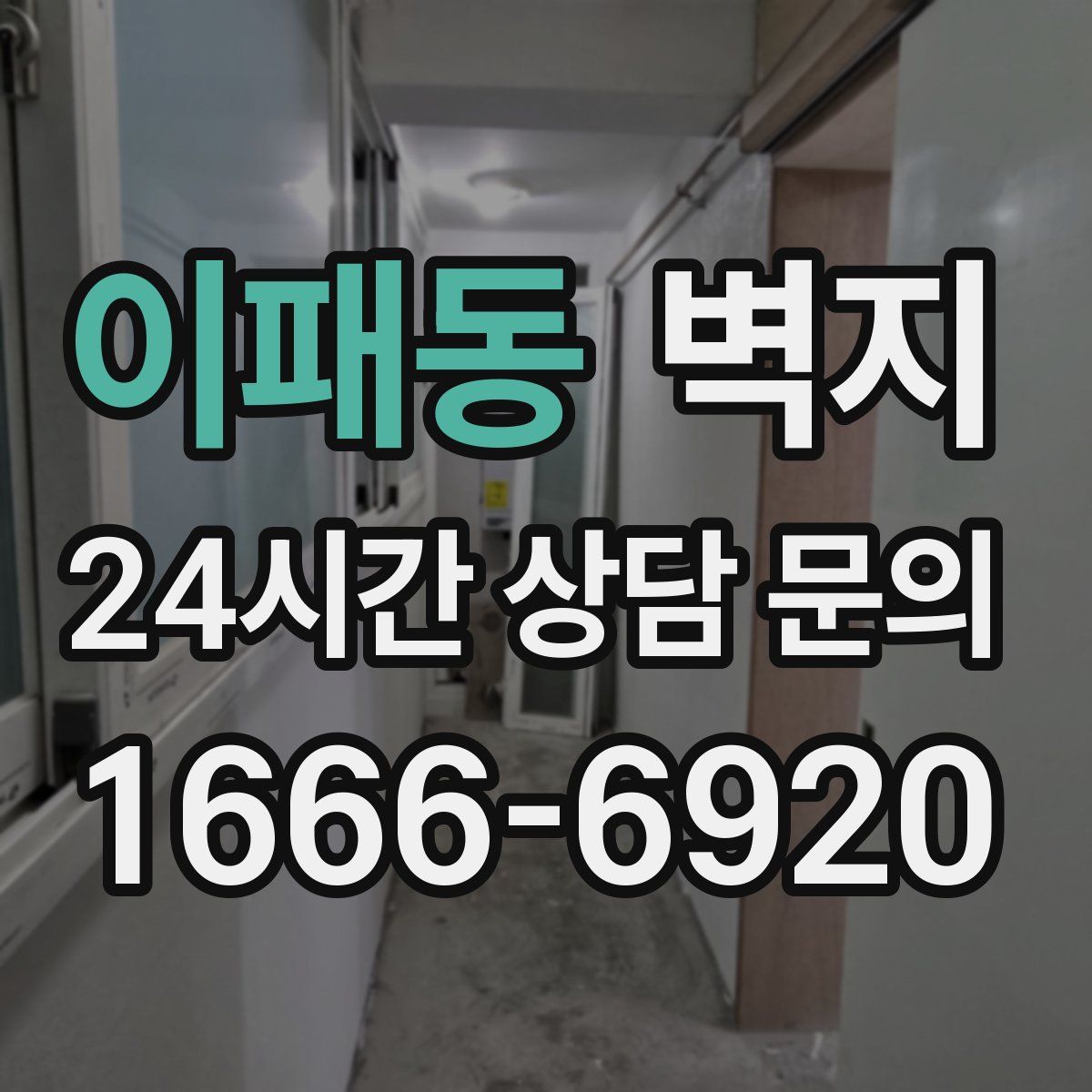 이패동 벽지