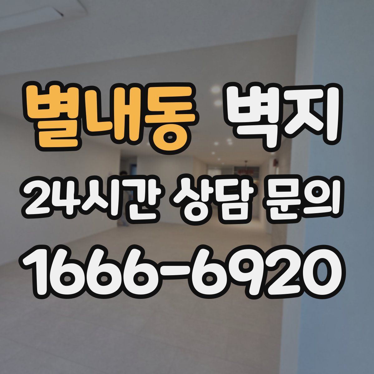 별내동 벽지