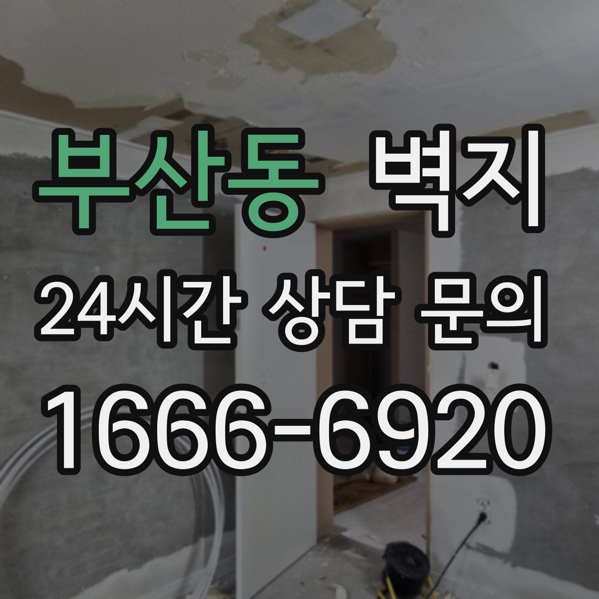 부산동 벽지
