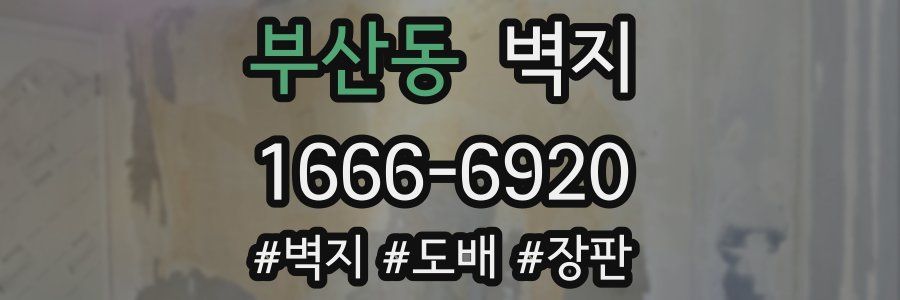 부산동 벽지