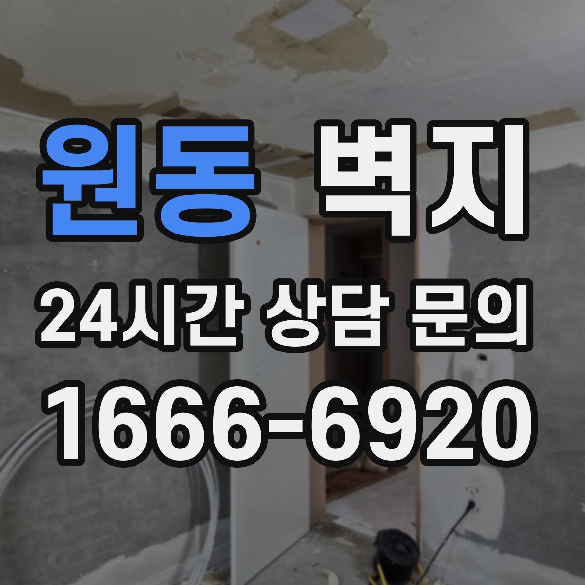 원동 벽지