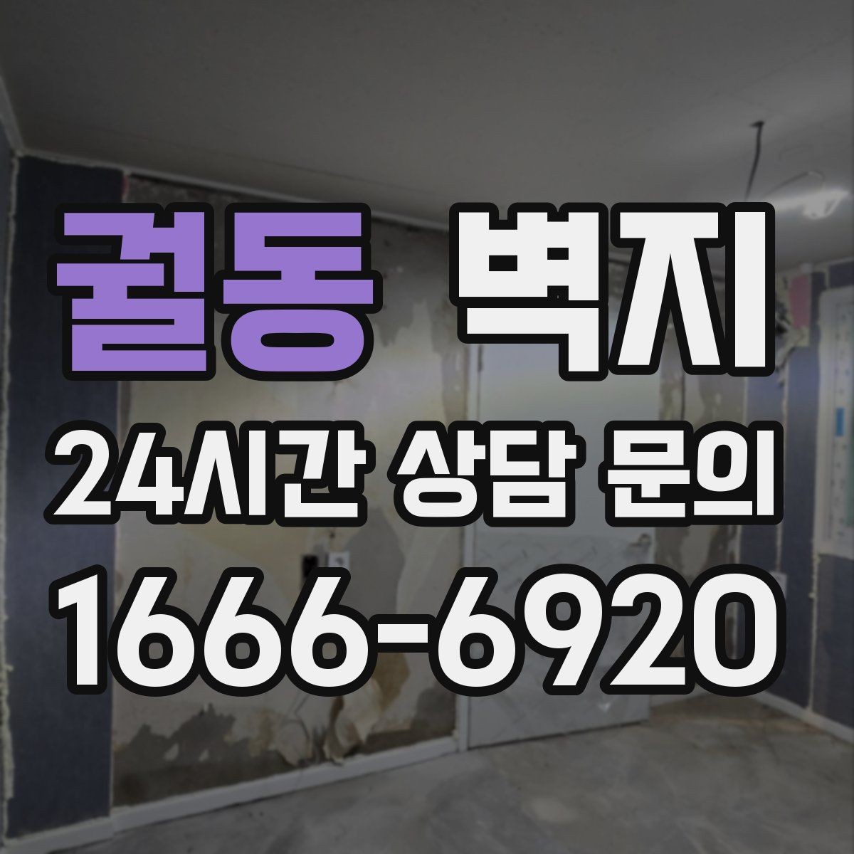 궐동 벽지 시공 날짜 잡기 전에 볼 점