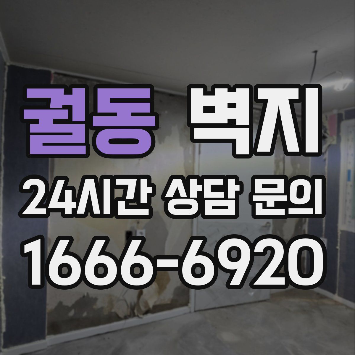 궐동 벽지
