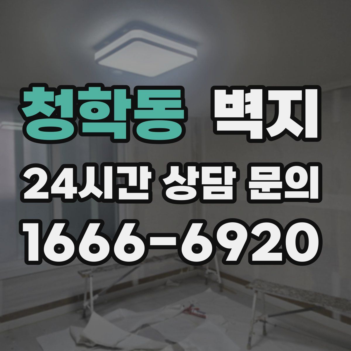 청학동 벽지