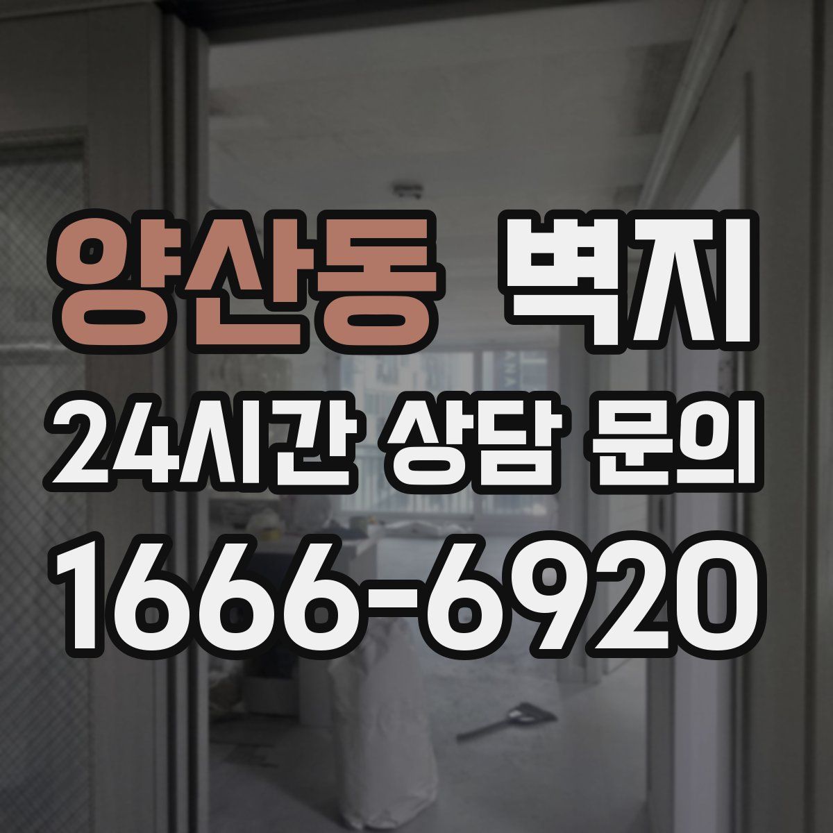 양산동 벽지